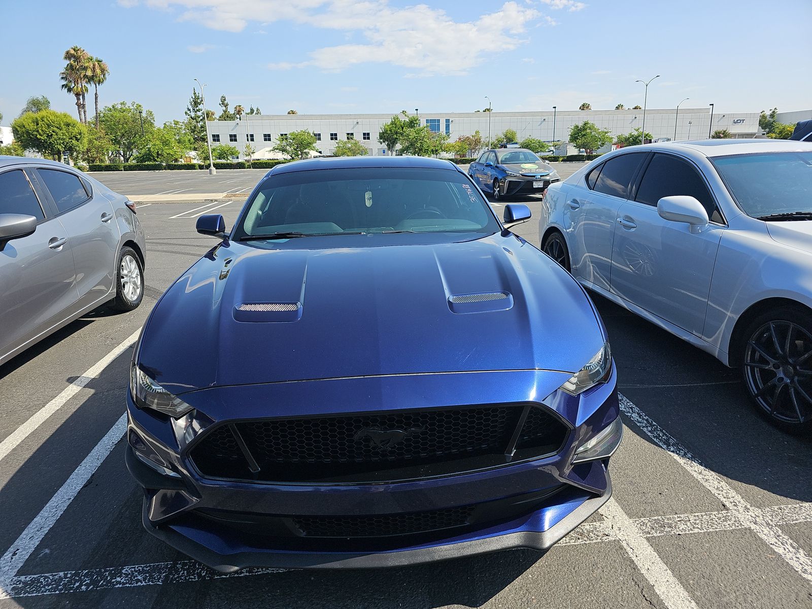 2019 Ford Mustang GT RWD