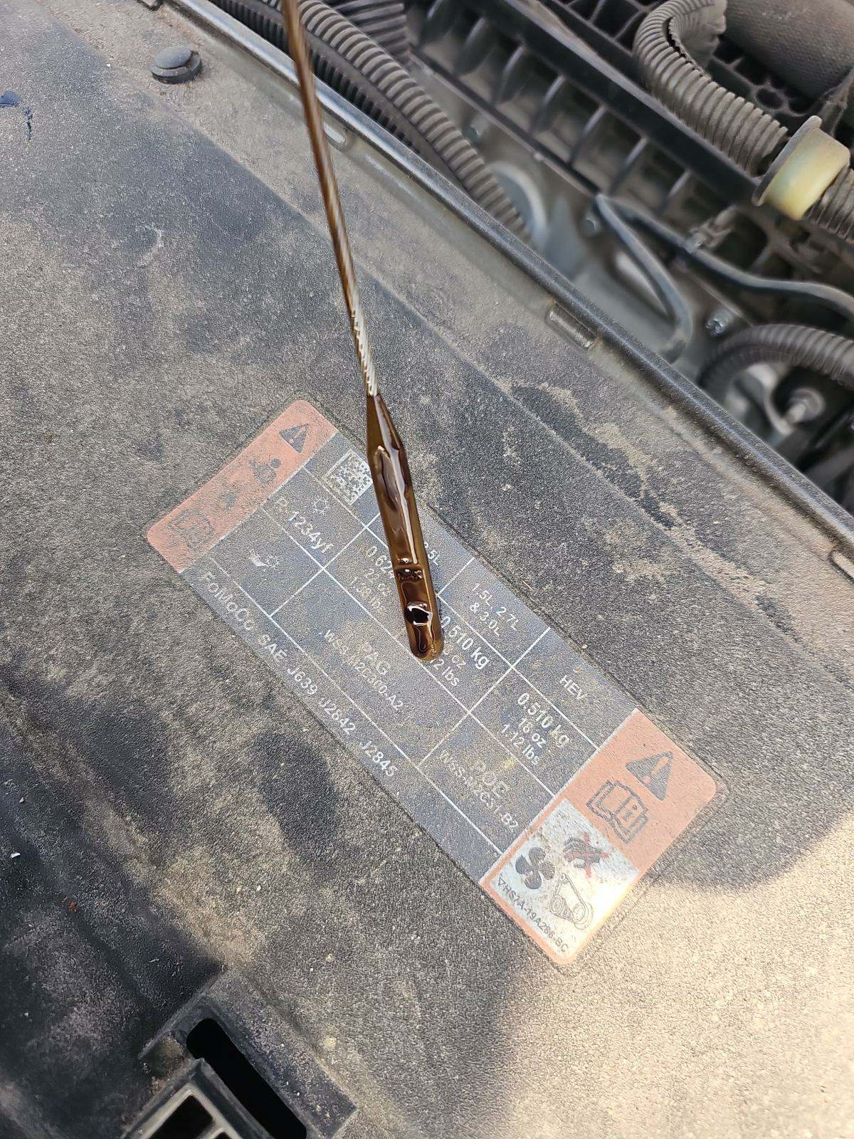 2019 Ford Fusion SE FWD