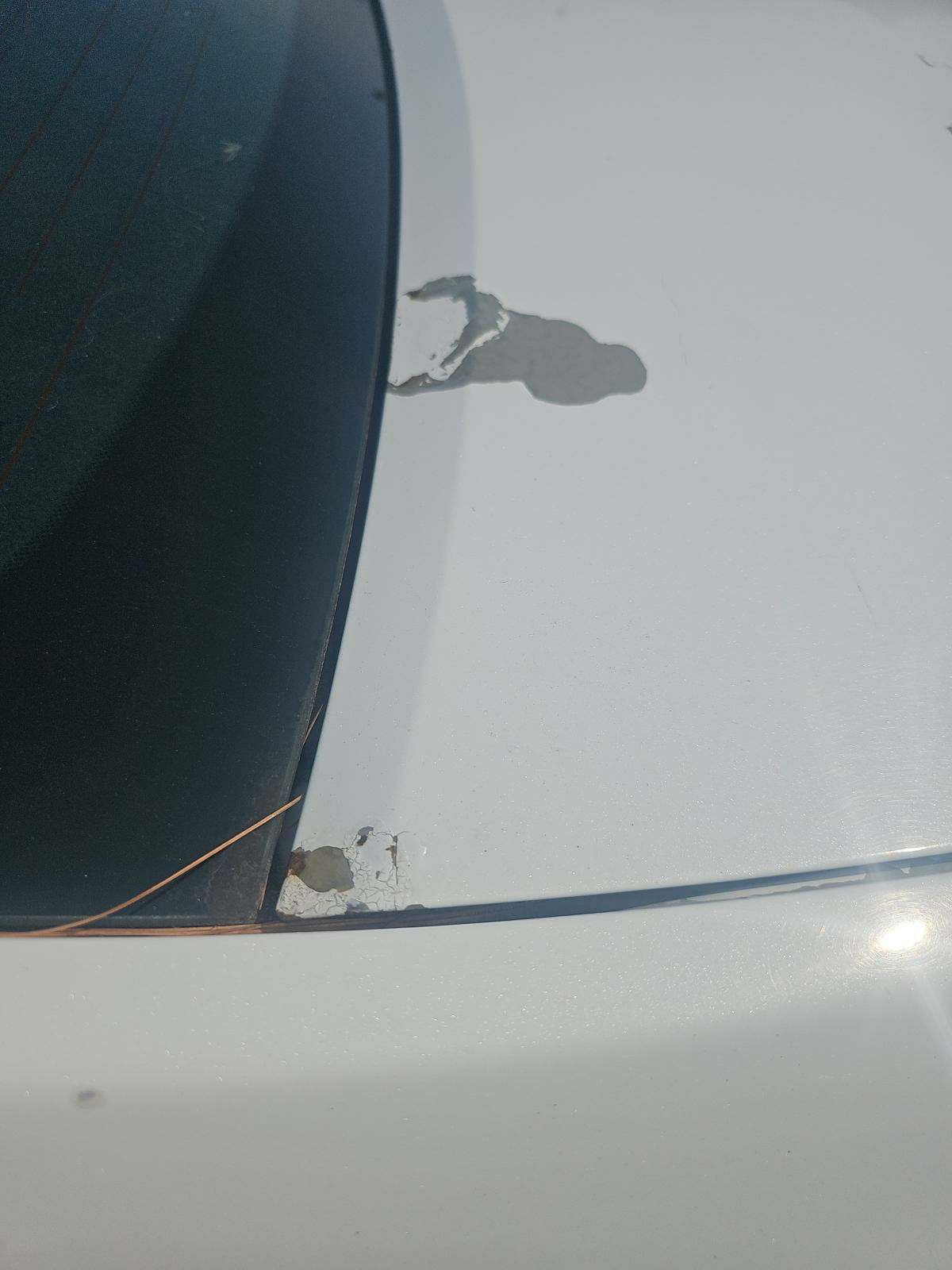 2011 Hyundai Sonata SE FWD