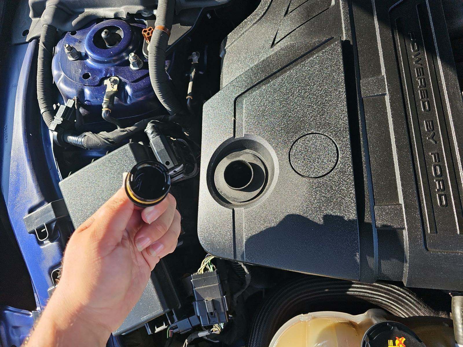 2019 Ford Mustang GT RWD