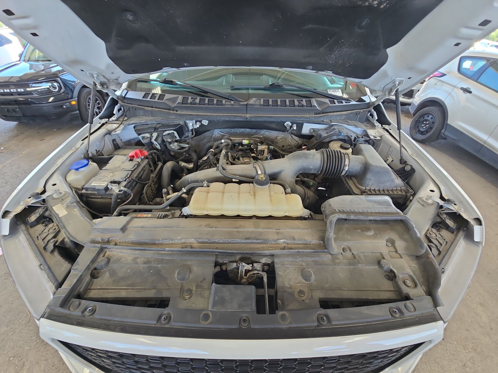 2019 Ford F-150 XLT AWD