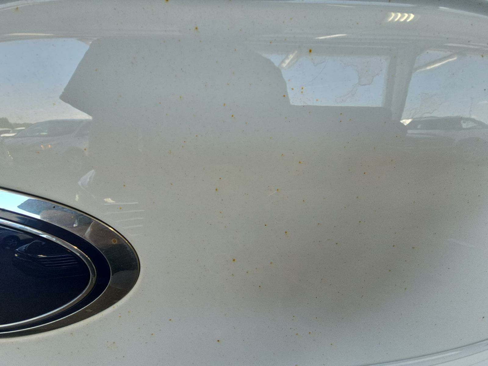 2019 Ford F-150 XLT AWD