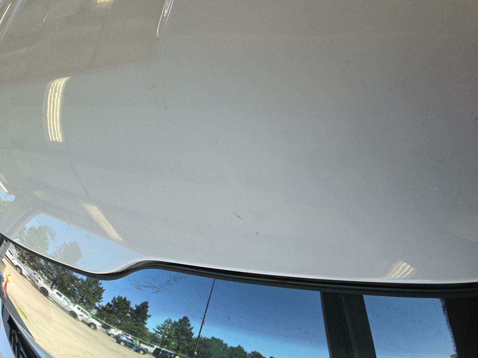 2019 Ford F-150 XLT AWD