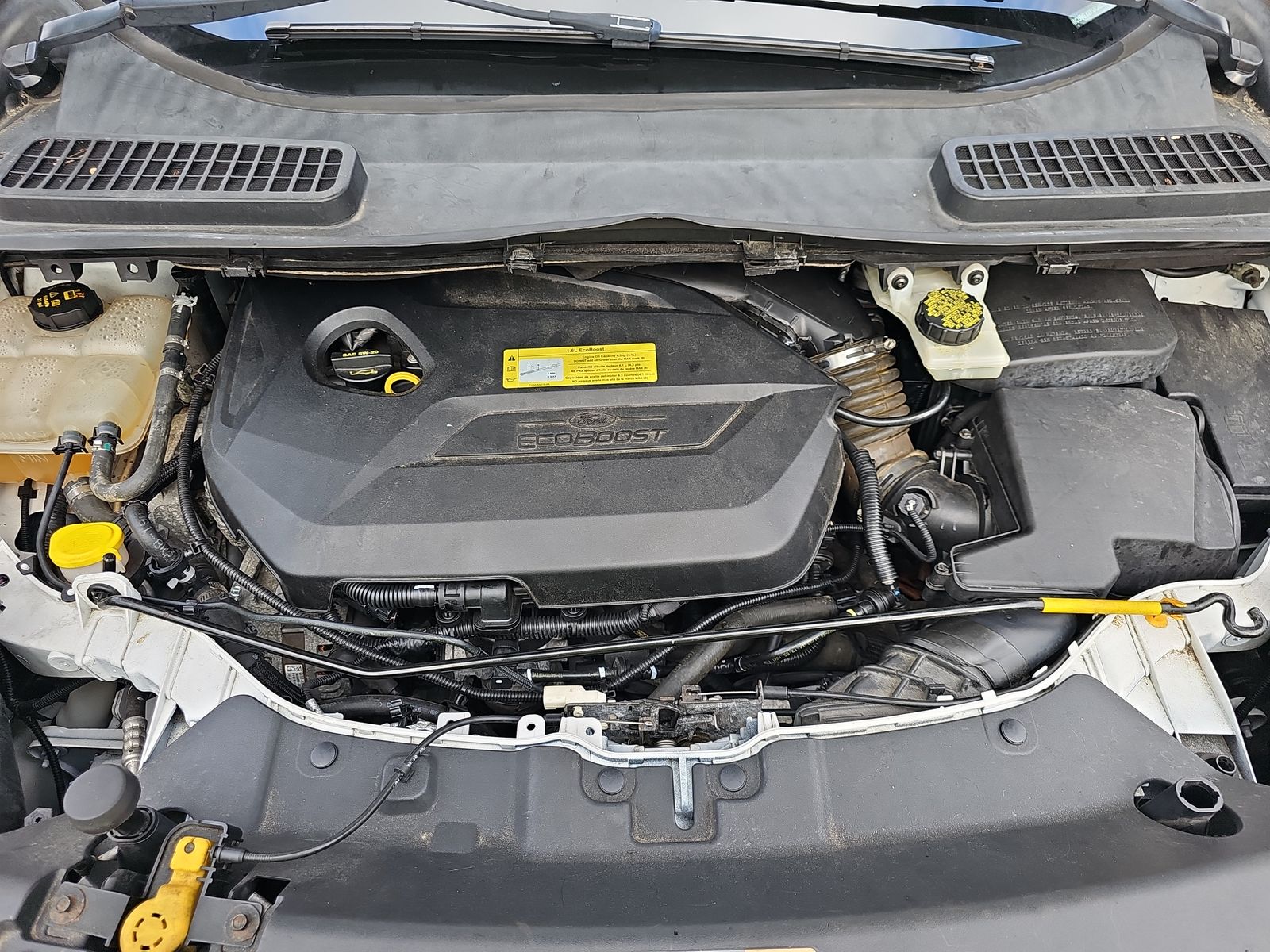 2014 Ford Escape SE AWD