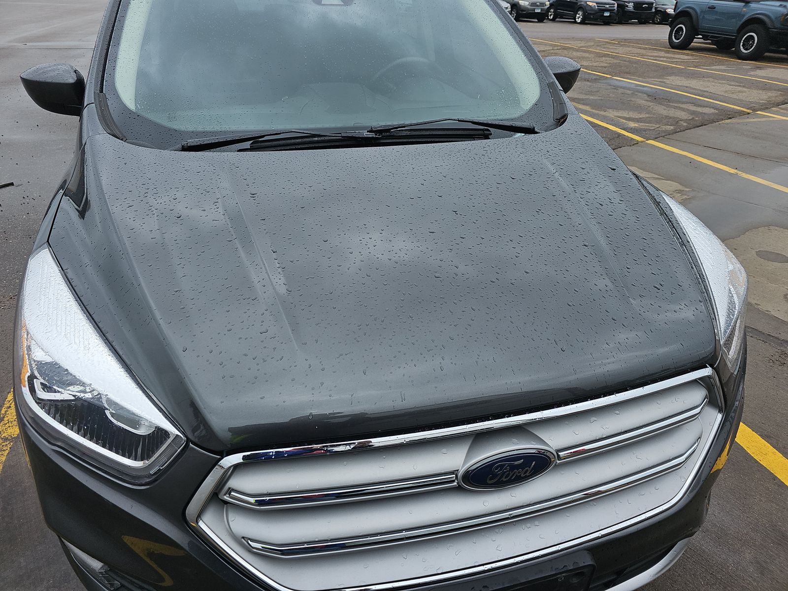 2019 Ford Escape SEL AWD