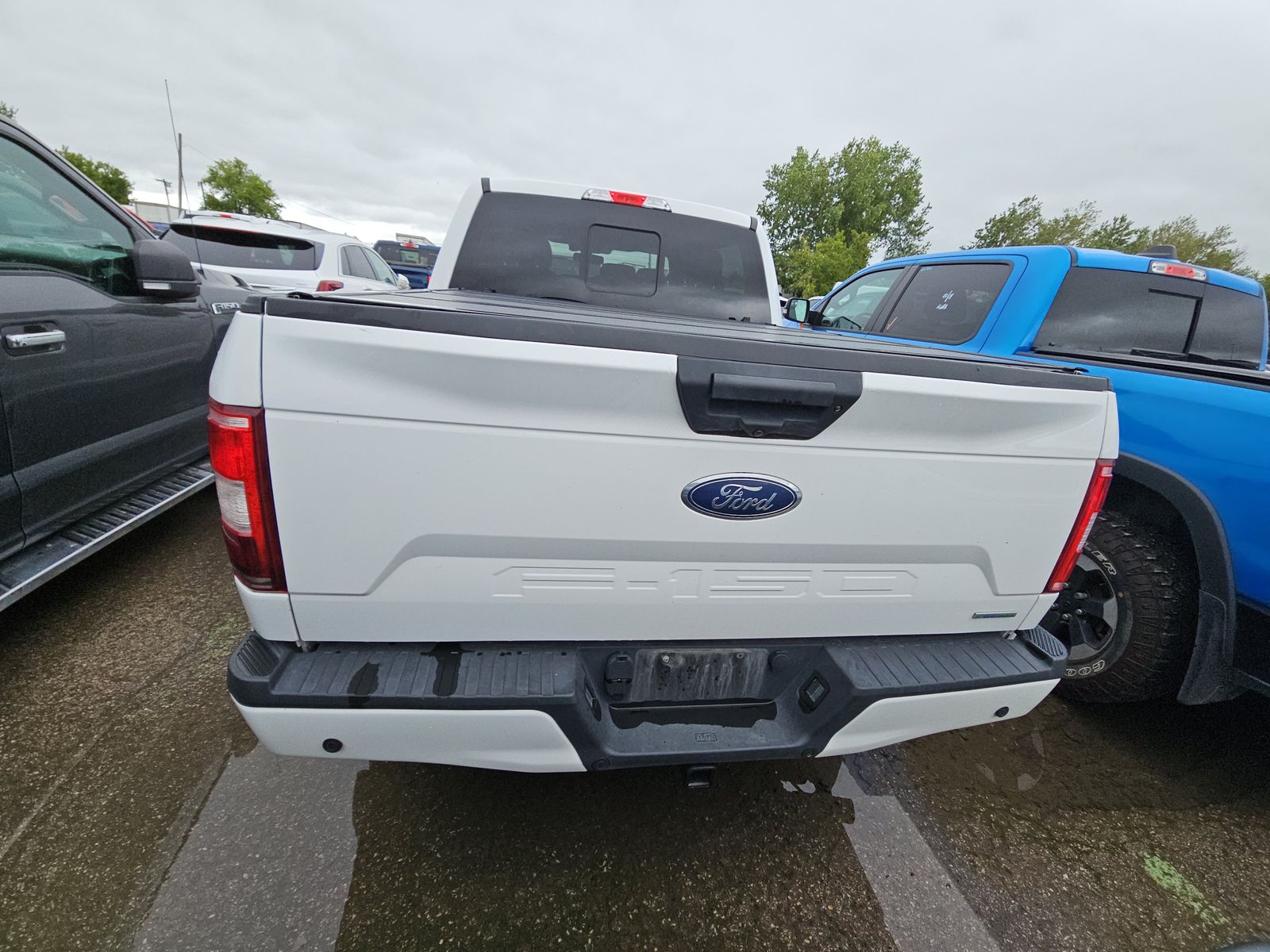 2019 Ford F-150 XLT AWD