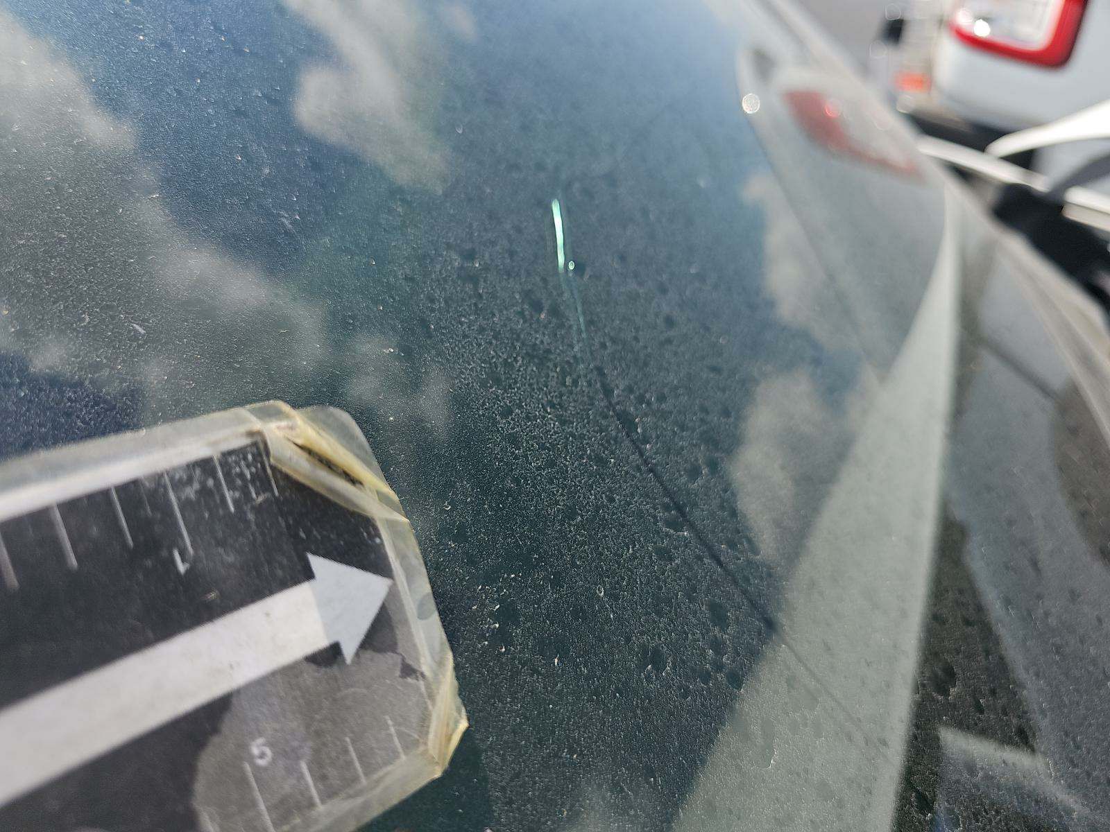 2020 Dodge Charger SXT RWD