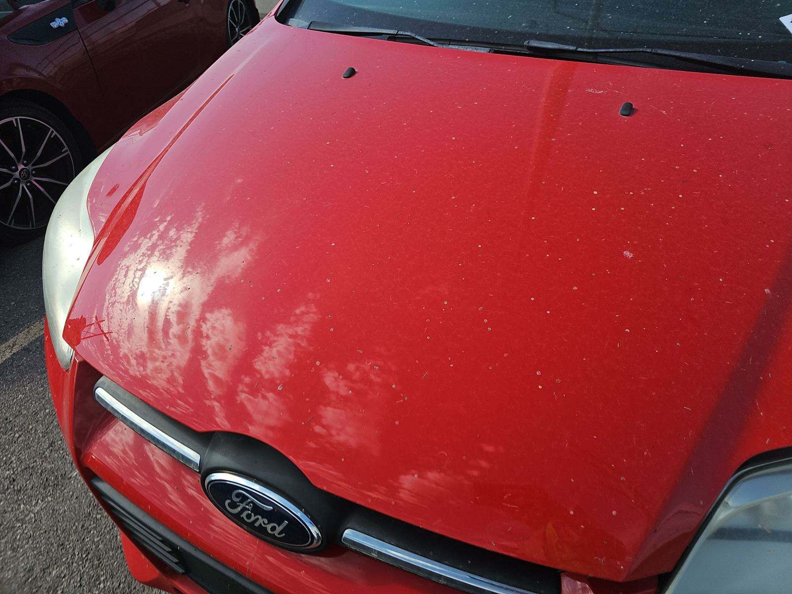 2014 Ford Focus SE FWD