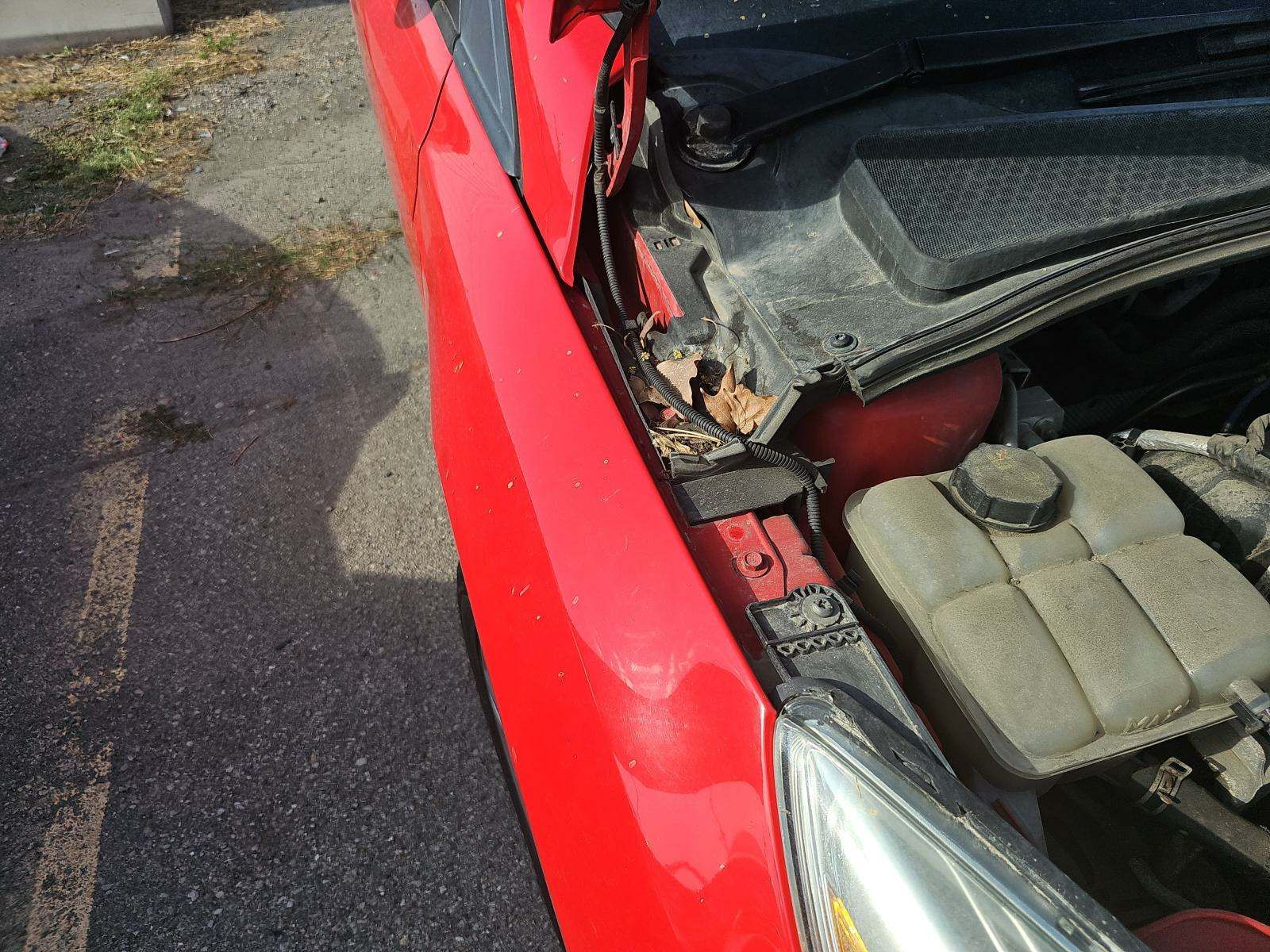 2014 Ford Focus SE FWD
