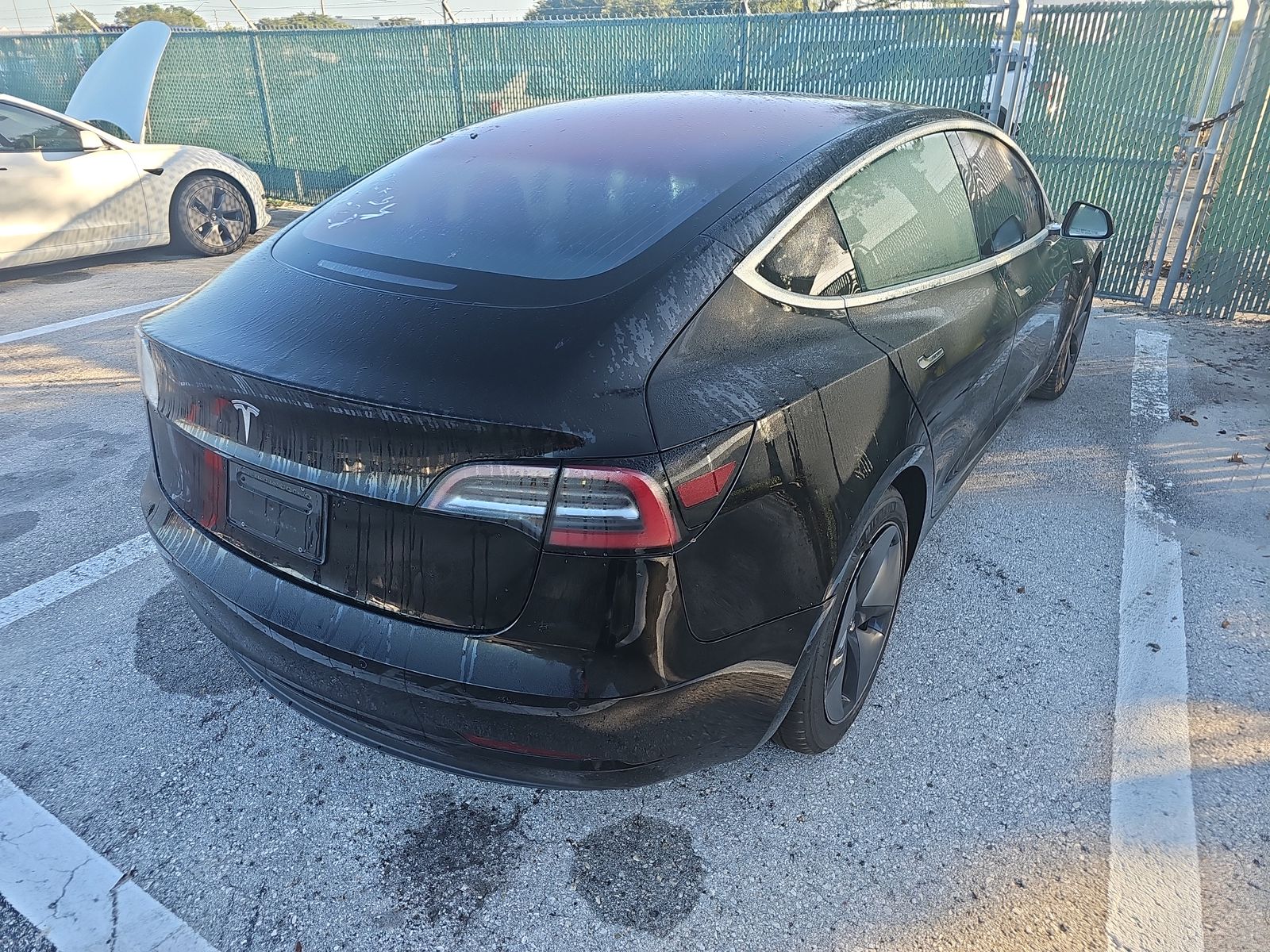 2019 Tesla Model 3 Standard Range Plus RWD