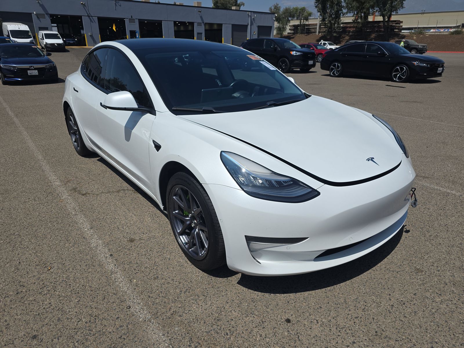 2019 Tesla Model 3 Standard Range Plus RWD