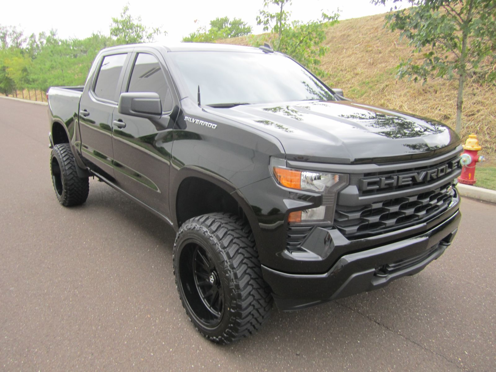 CHEVROLET CUSTOM - 3