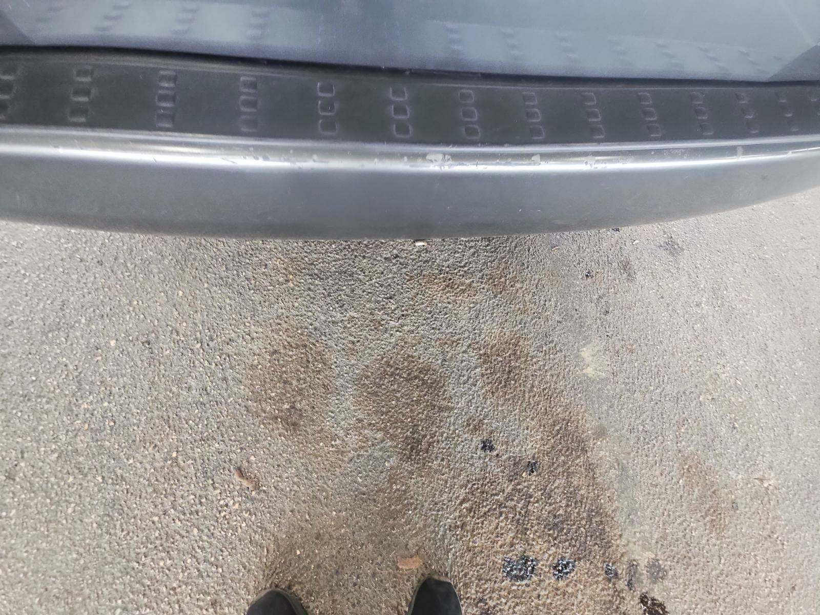 2010 Honda Odyssey EX-L FWD