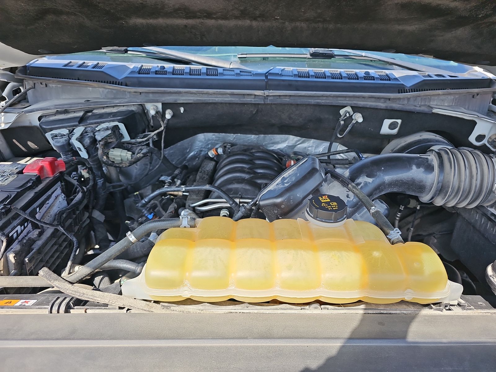 2019 Ford F-150 XLT RWD