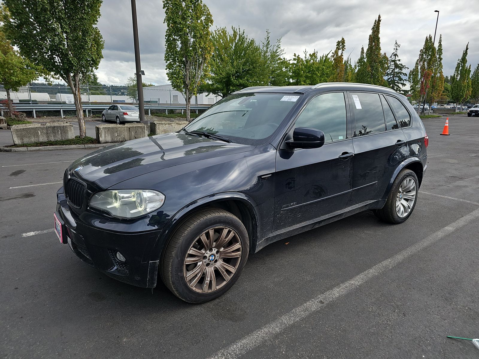 2013 BMW X5 Sports Activity Vehicle xDrive50i
