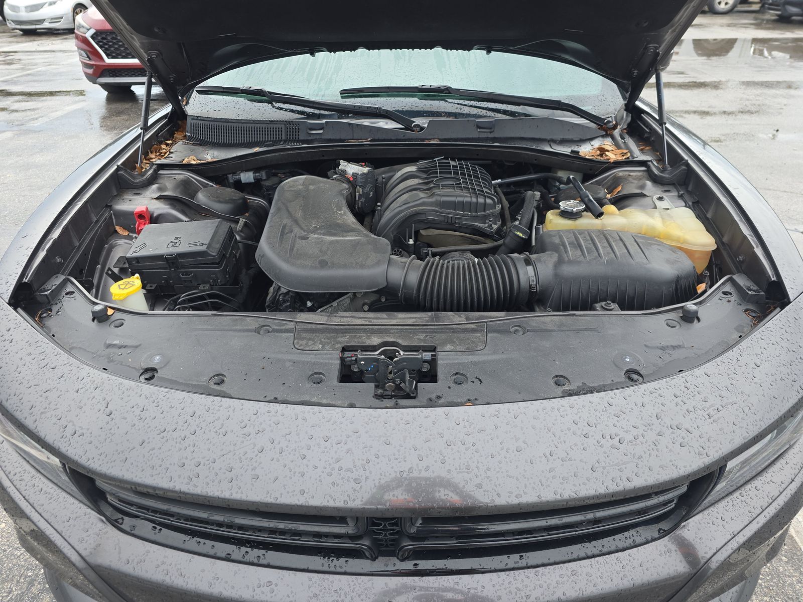 2019 Dodge Charger SXT RWD