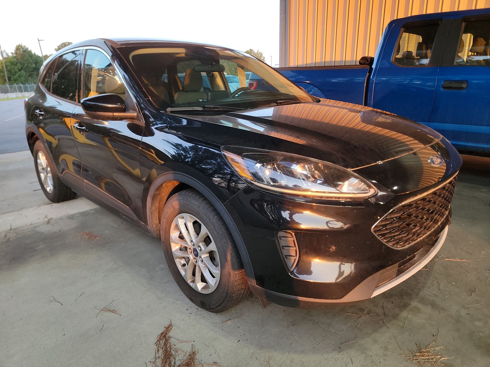 2020 Ford Escape SE FWD