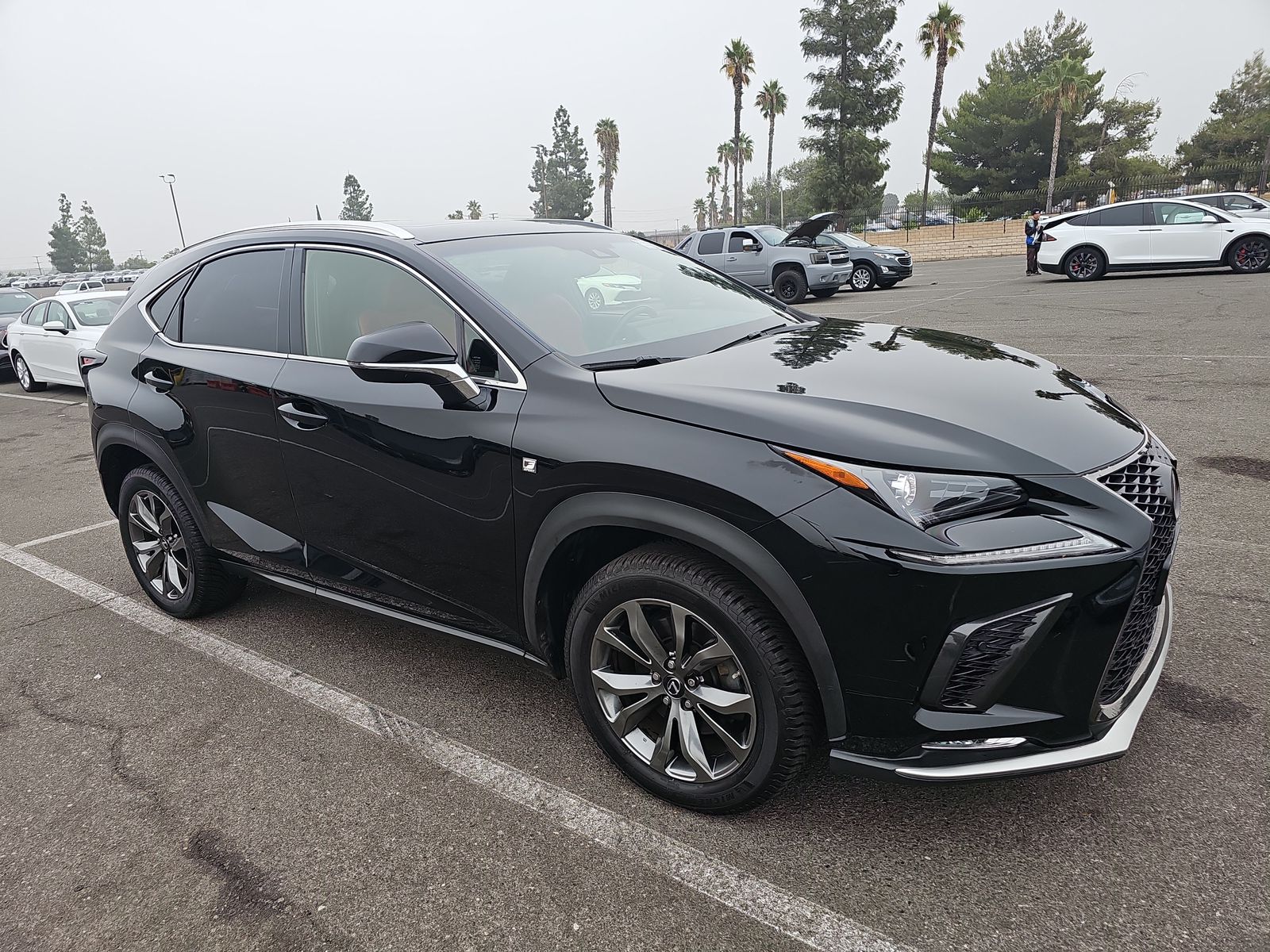 2019 Lexus NX NX 300 F SPORT FWD