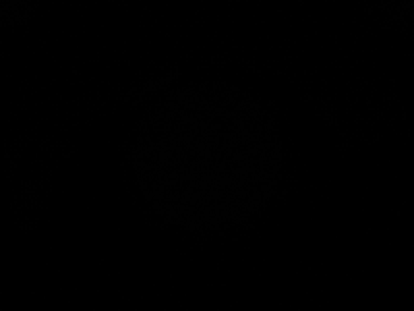 2013 Jaguar XJ L Portfolio AWD