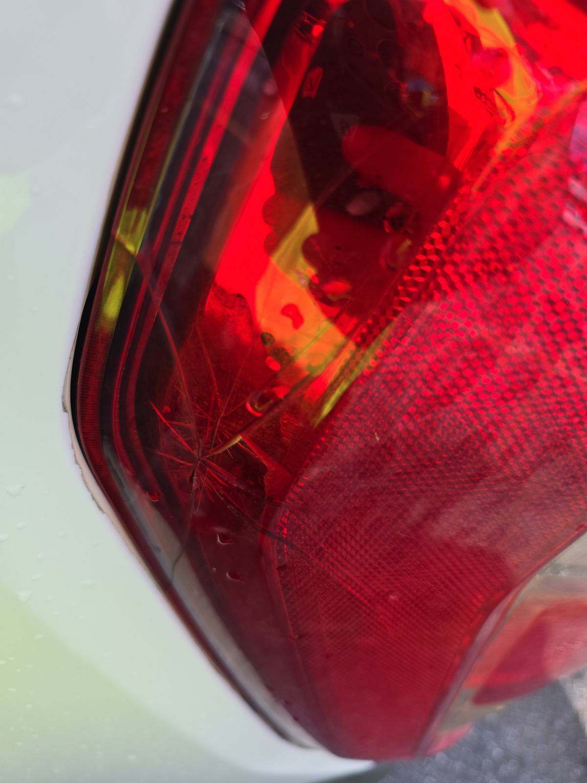 2021 Ford F-150 XL RWD