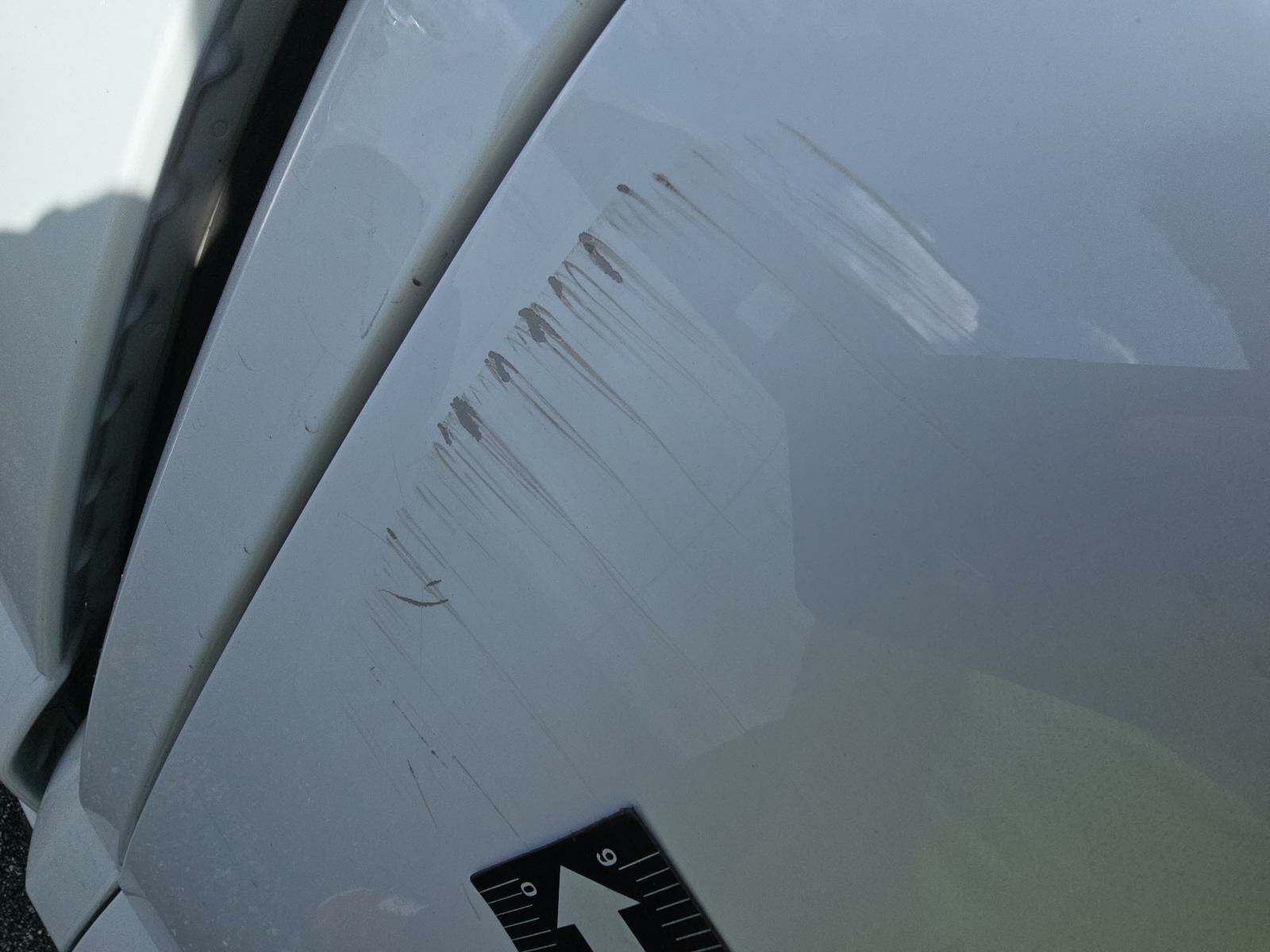 2021 Ford F-150 XL RWD