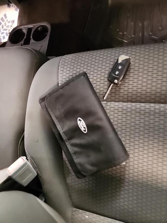 2019 Ford F-150 XLT RWD