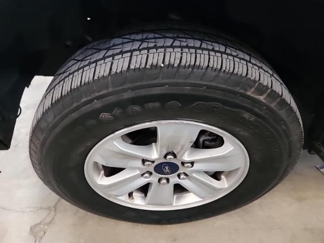 2019 Ford F-150 XLT RWD