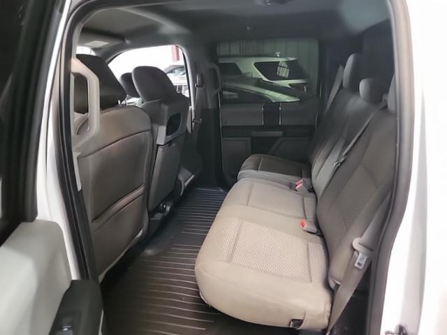 2019 Ford F-150 XLT RWD