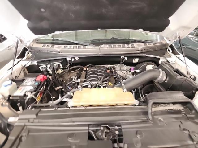 2019 Ford F-150 XLT RWD