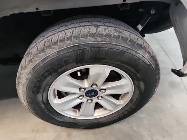 2019 Ford F-150 XLT RWD