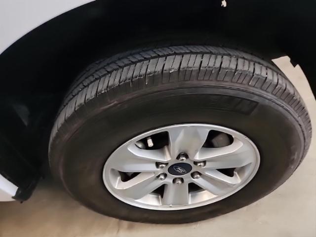 2019 Ford F-150 XLT RWD