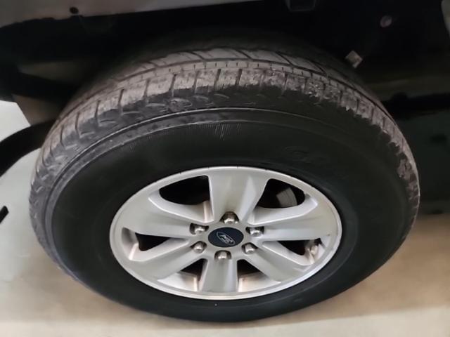 2019 Ford F-150 XLT RWD