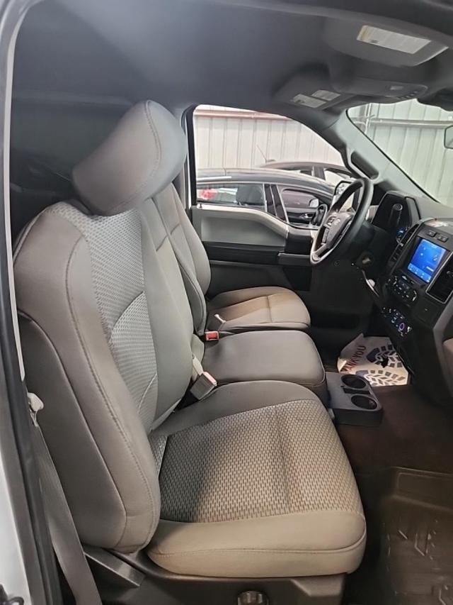 2019 Ford F-150 XLT RWD