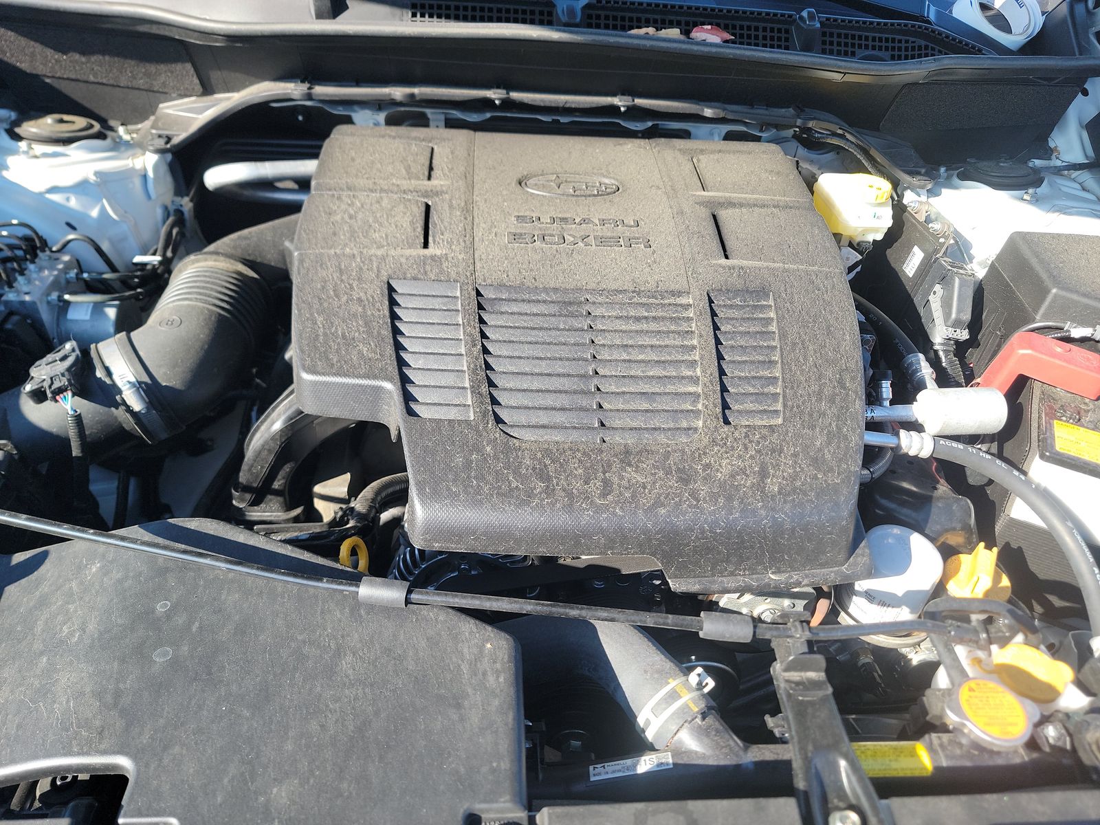 2024 Subaru Forester Wilderness AWD