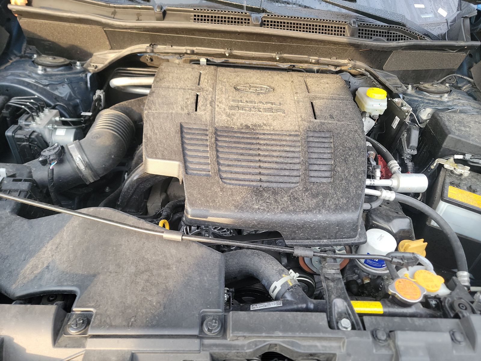 2024 Subaru Forester Wilderness AWD