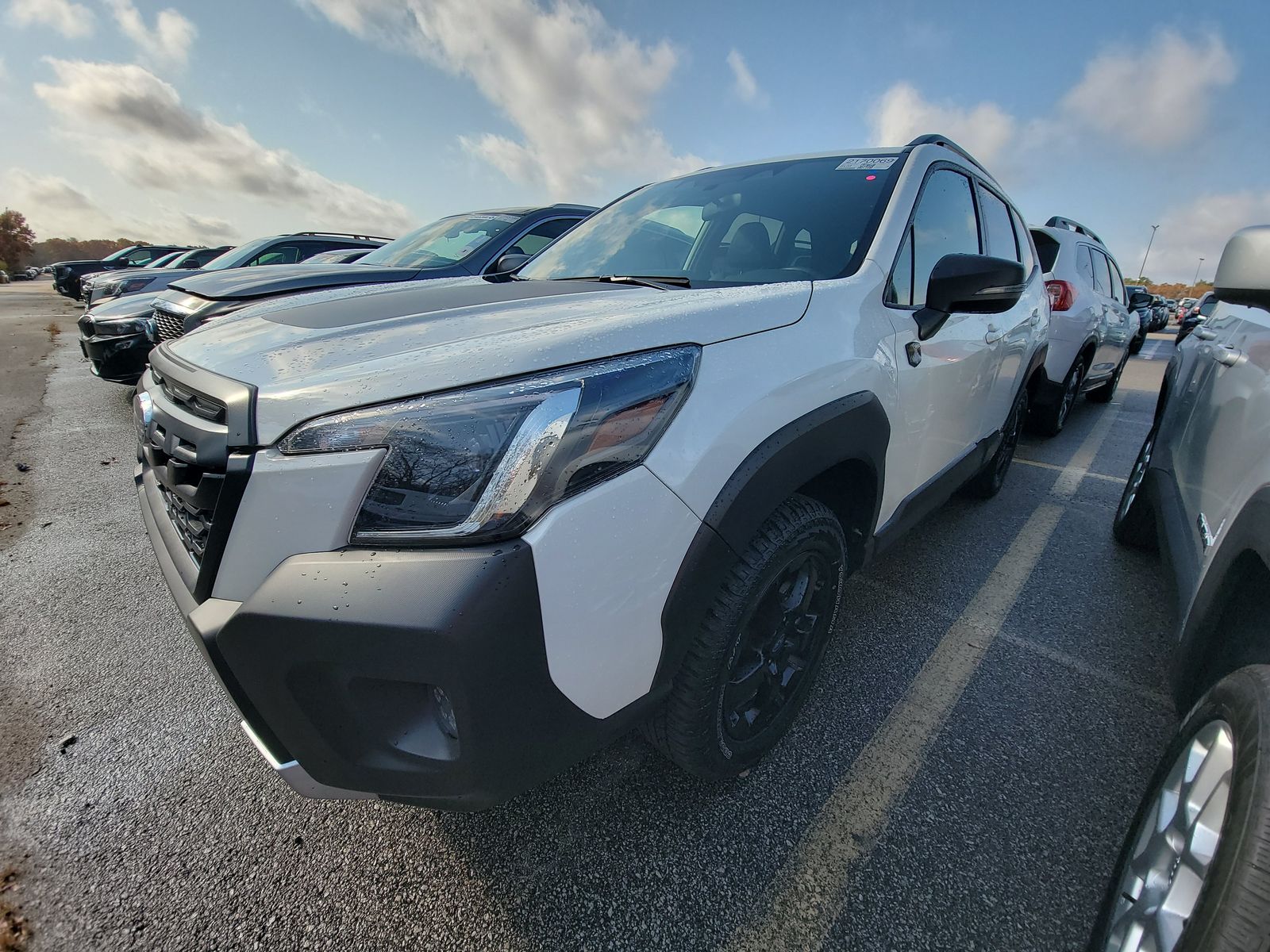 2024 Subaru Forester Wilderness AWD