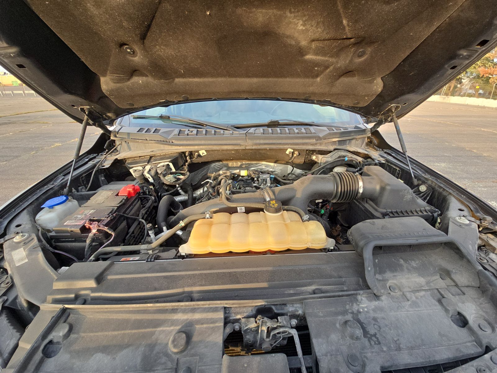 2019 Ford F-150 XLT AWD