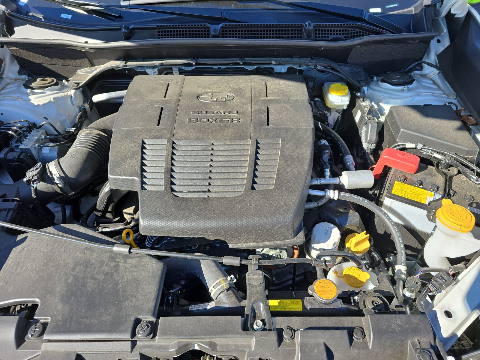 2024 Subaru Forester Wilderness AWD