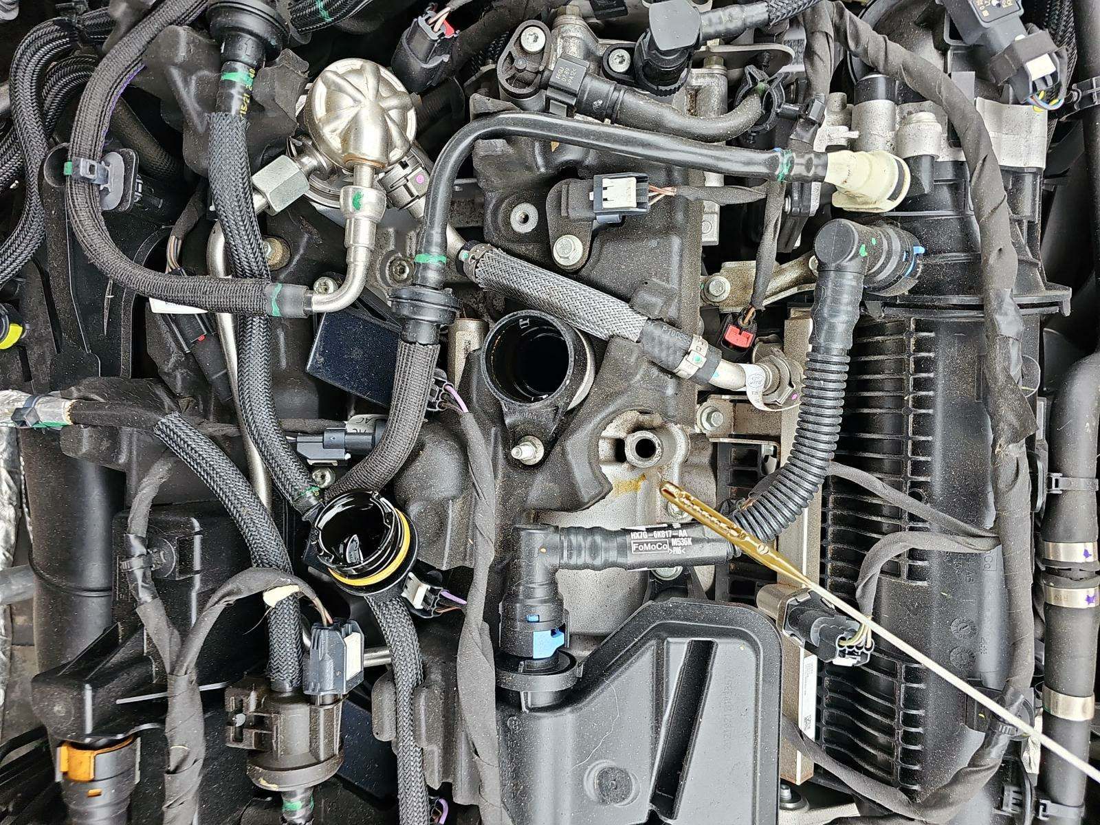 2021 Ford Escape SEL FWD