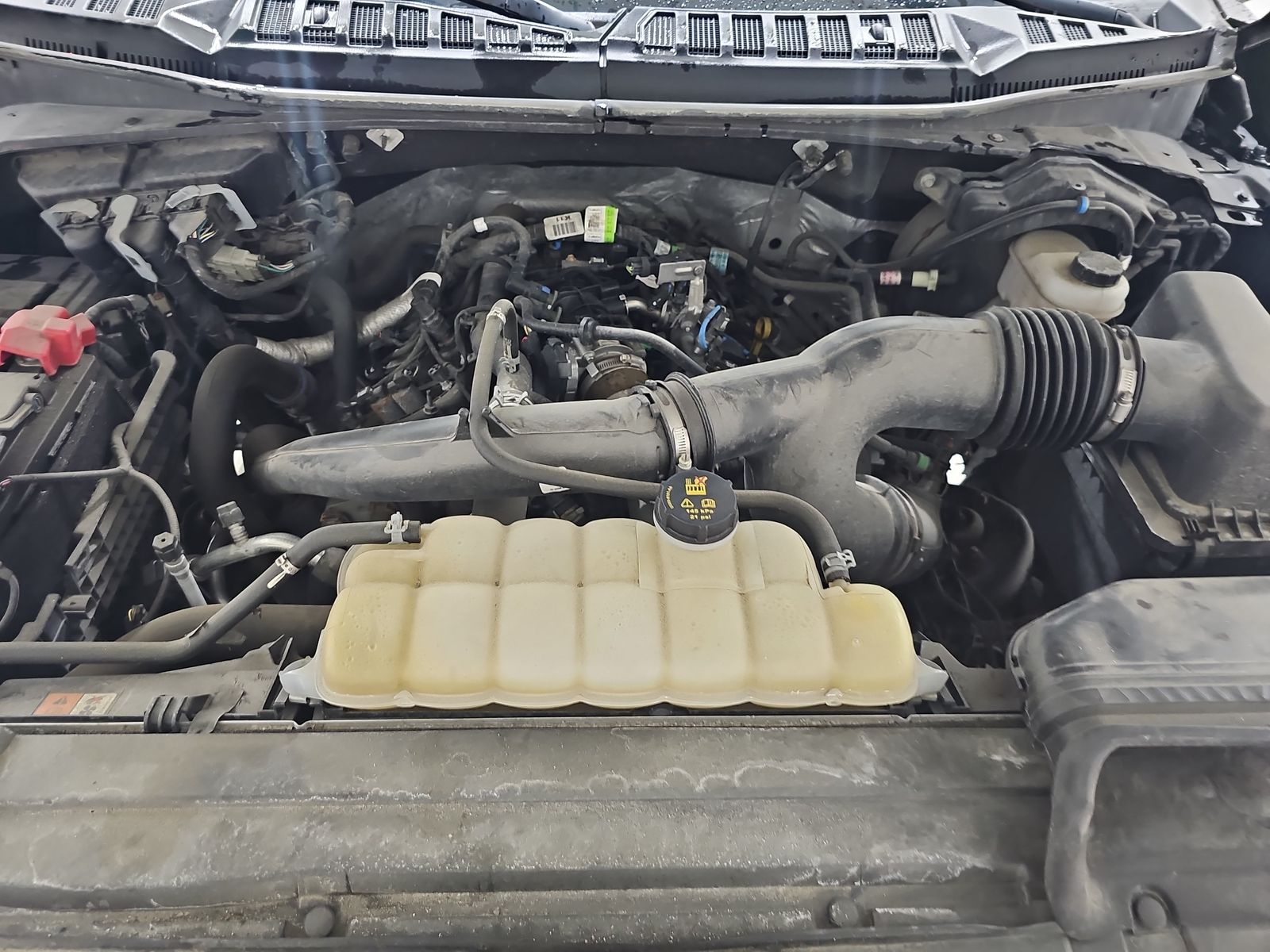 2019 Ford F-150 XLT AWD