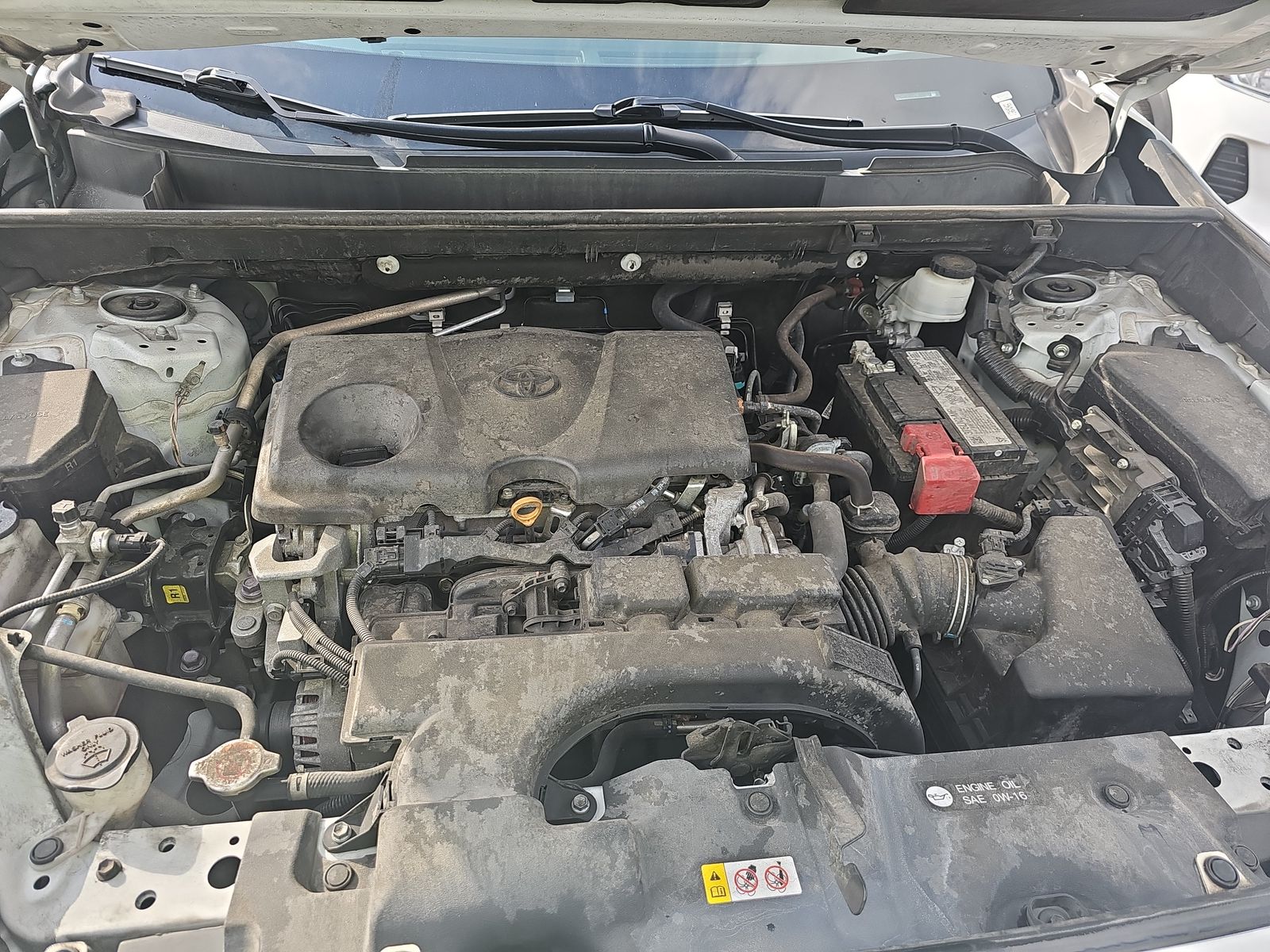2021 Toyota RAV4 LE FWD