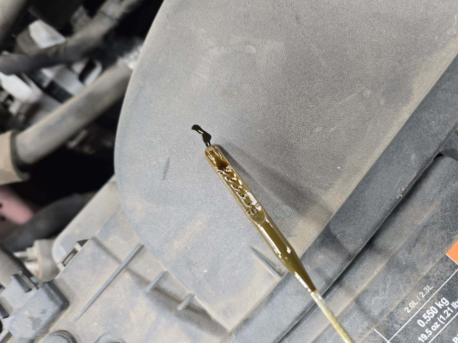 2020 Ford Escape SE FWD