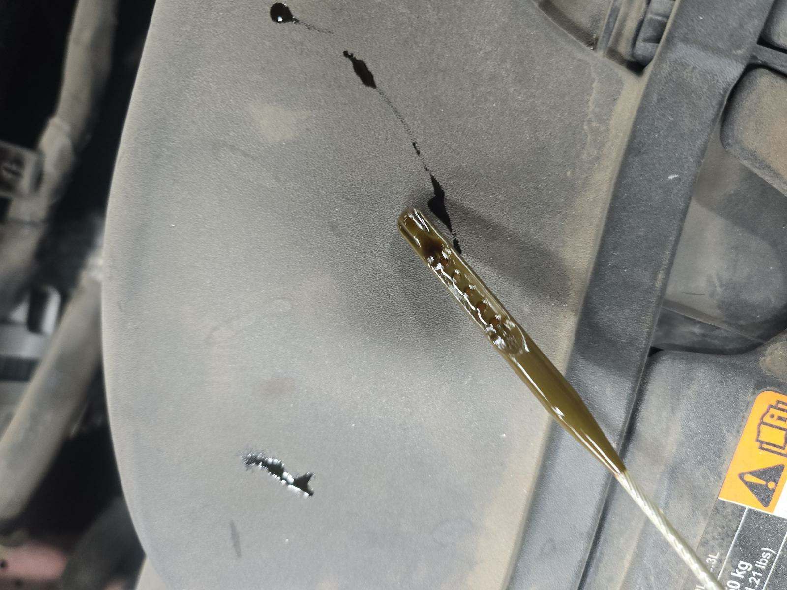 2020 Ford Escape SE FWD