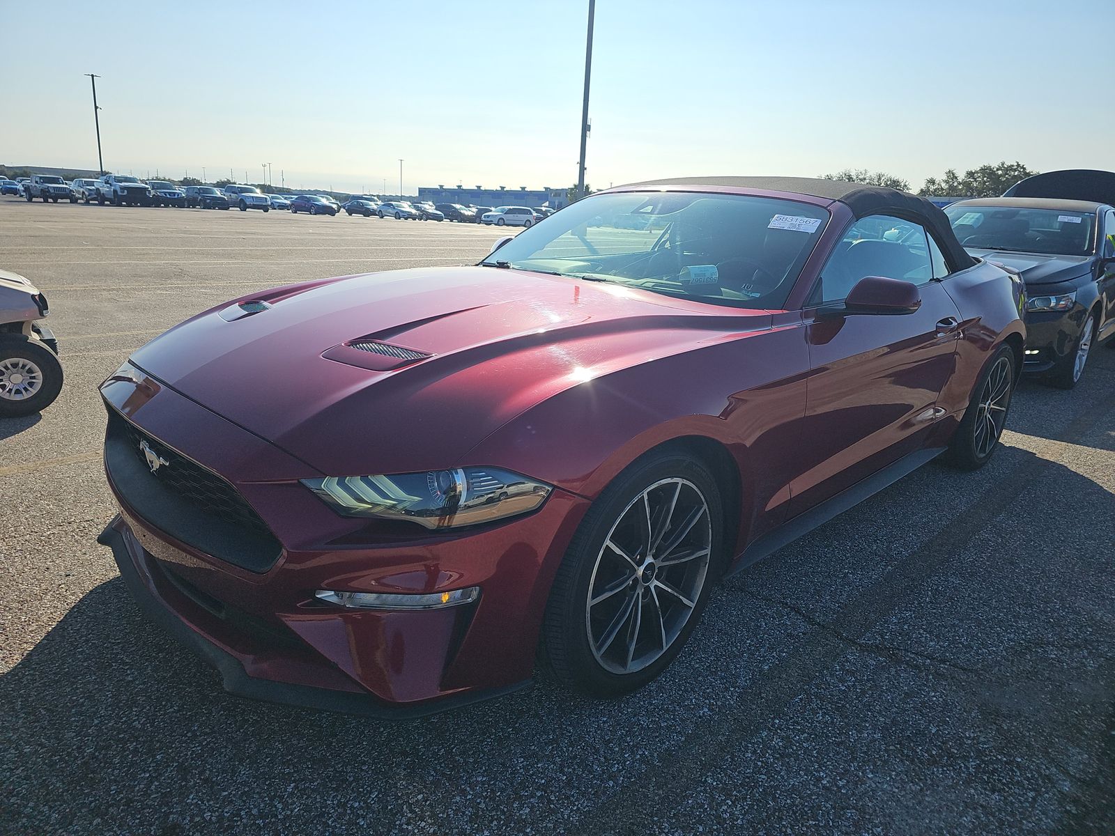 2019 Ford Mustang EcoBoost Premium Convertible