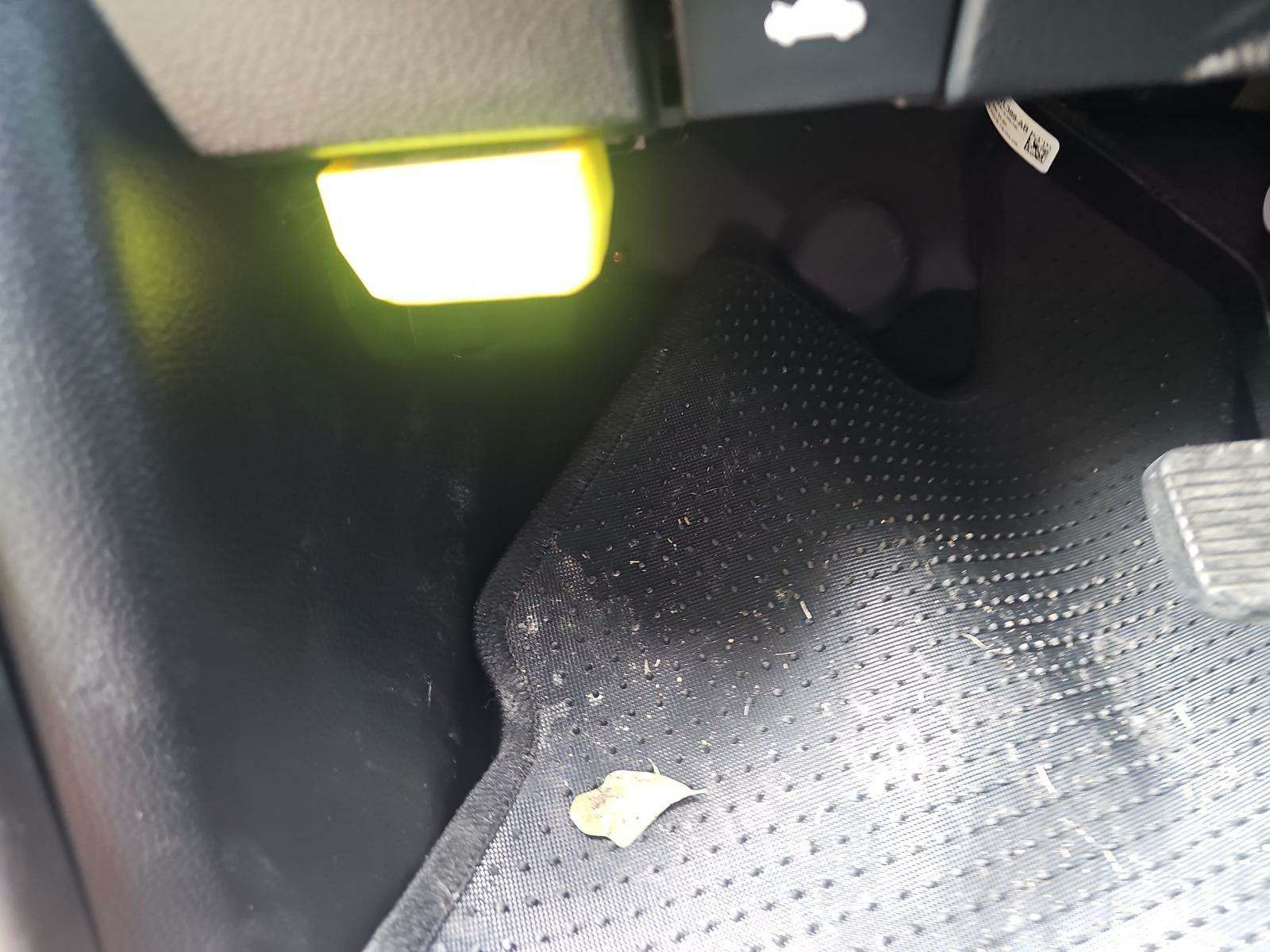 2019 Ford Ranger XLT RWD