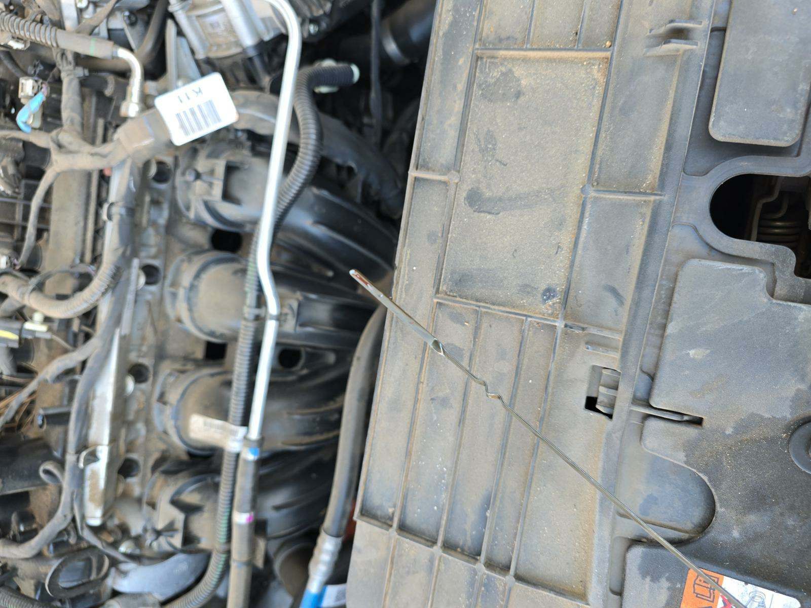 2021 Ford Escape Hybrid SE FWD