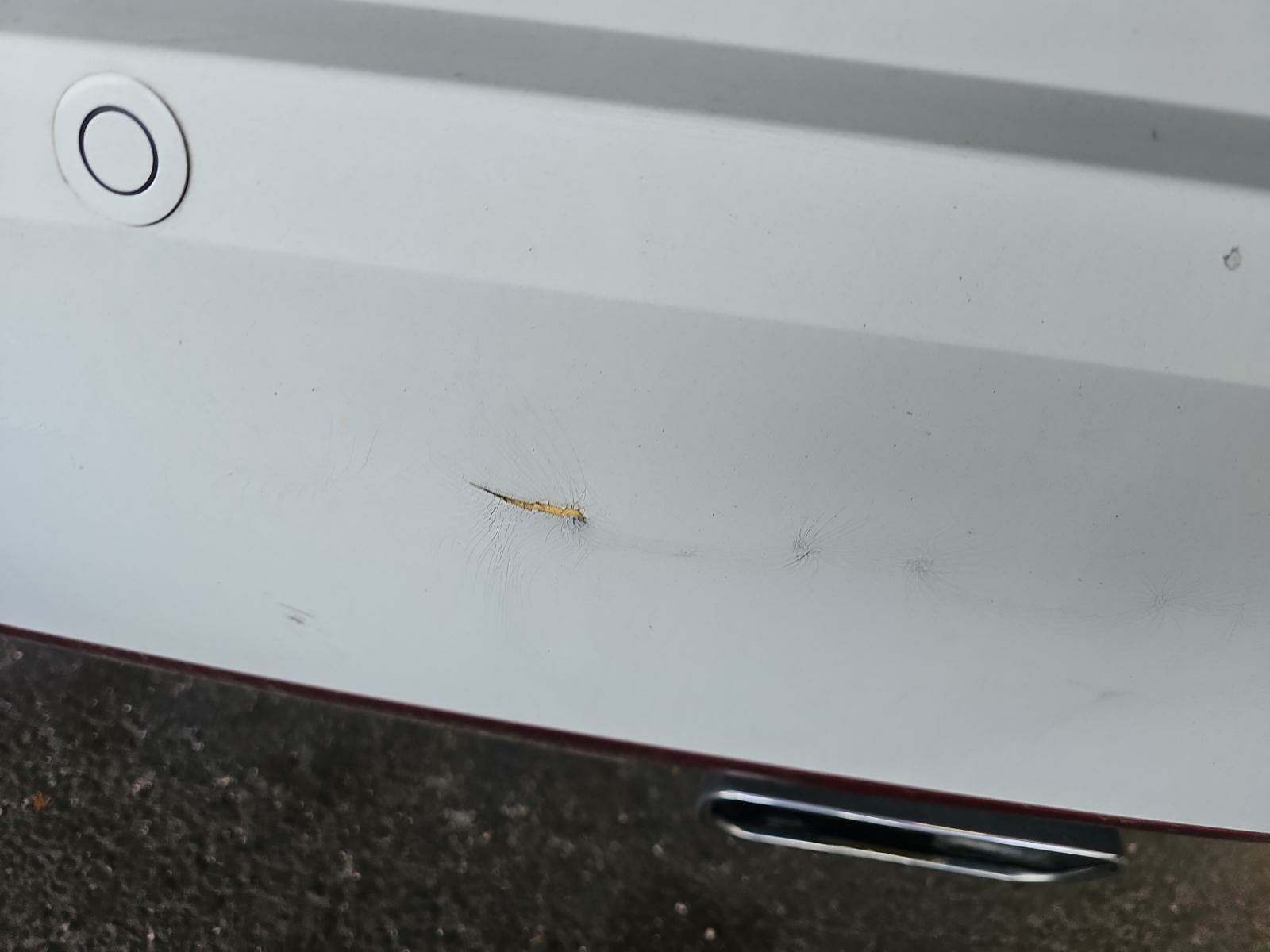 2013 Dodge Challenger SXT Ralleye Redline RWD