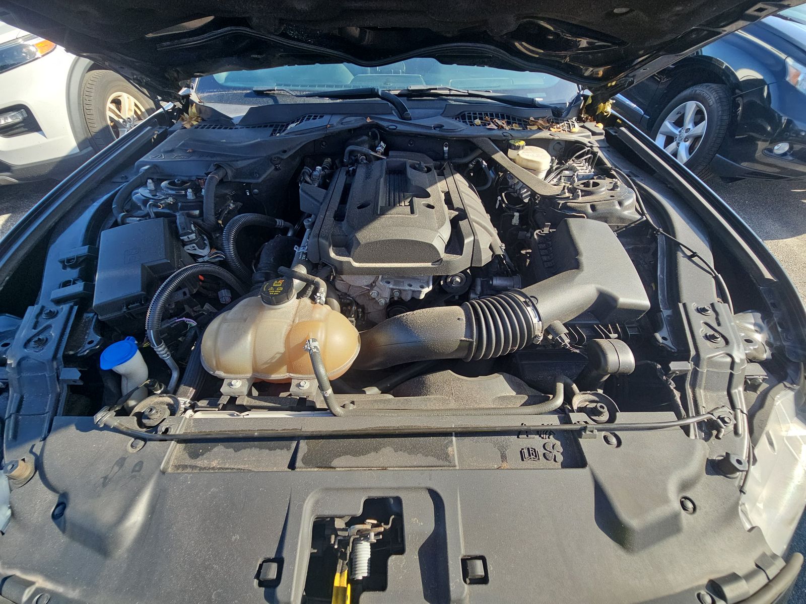 2020 Ford Mustang EcoBoost Premium RWD