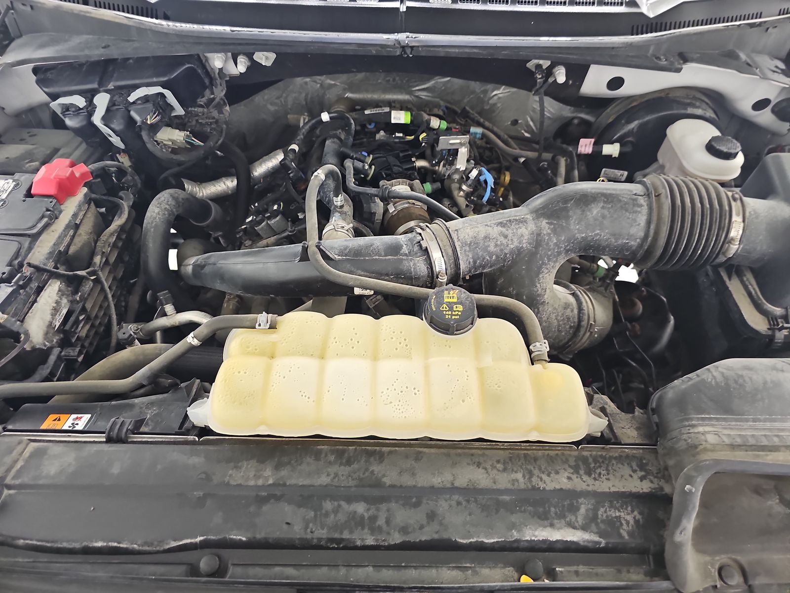 2019 Ford F-150 XL RWD