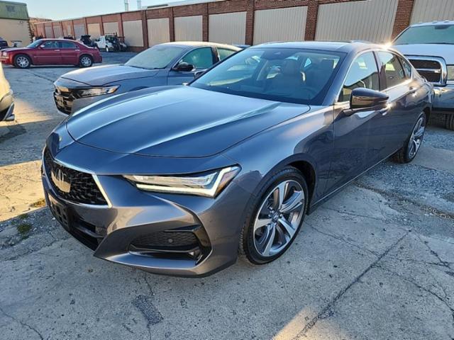 2023 Acura TLX w/Advance Pkg